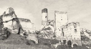 Zamek w Olsztynie